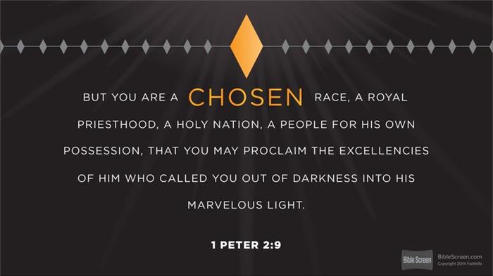 Verse Of The Day 1 Peter 2 9 KJV Highland Park Baptist Church 