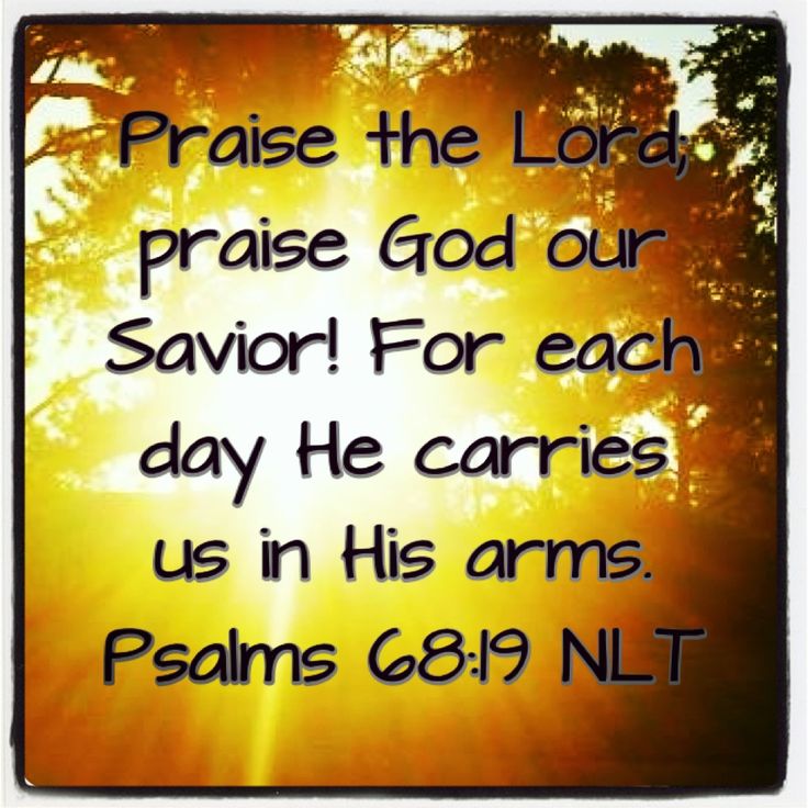 Psalm 19 Nlt RyaneSahedul psalm-19-nlt-ryanesahedul