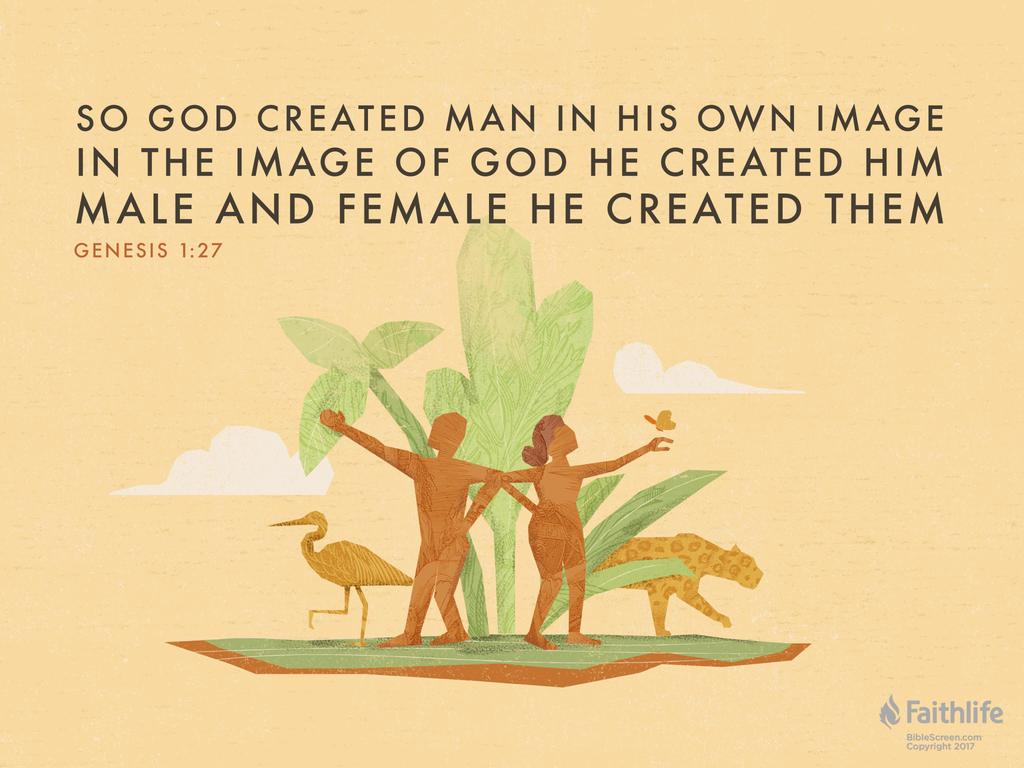 Verse Of The Day Genesis 1 27 KJV Highland Park Baptist Church verse-of-the-day-genesis-1-27-kjv-highland-park-baptist-church